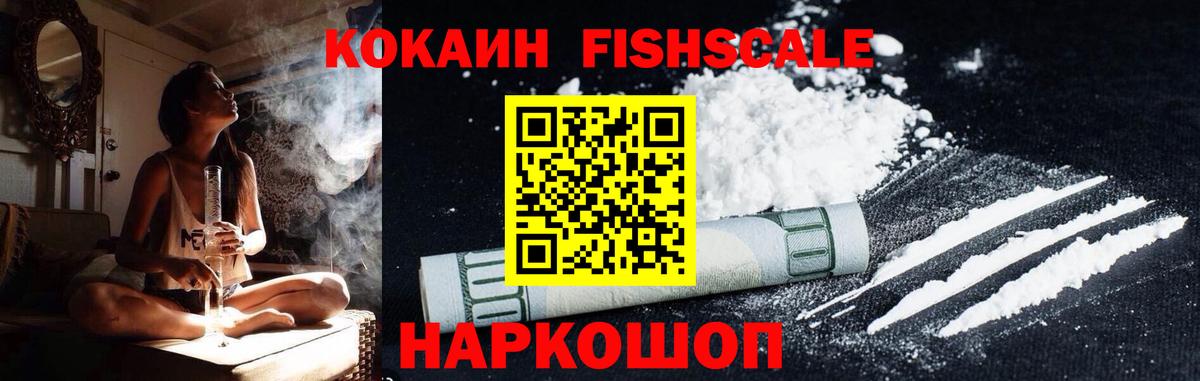 КОКАИН FishScale  COCAIN 99%  что такое   Вход с VPN  Славгород 