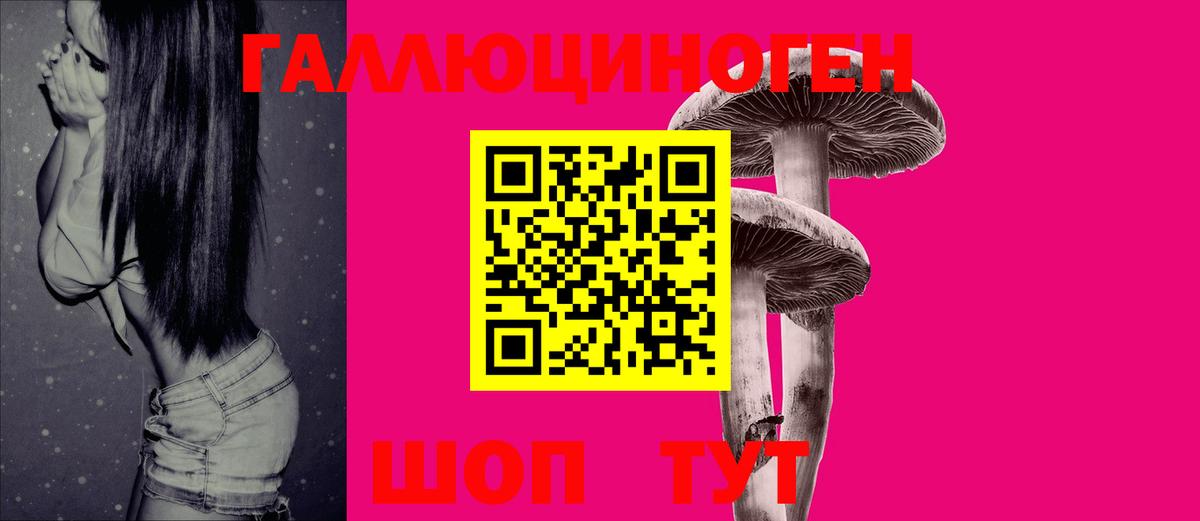 Славгород  Галлюциногенные грибы ЛСД  Вход с VPN  Псилоцибиновые грибы прущие грибы 